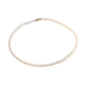 Woman B-Classic Gold Pearls 18K Necklace