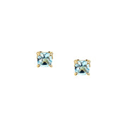 Woman Euphoria Stones 18K Earrings
