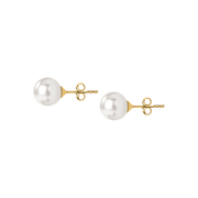 Woman B-Classic Gold Pearls 18K Earrings