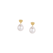 Woman B-Classic Gold Pearls 18K Earrings
