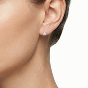Woman Promessa Damore Diamonds 18K Earrings