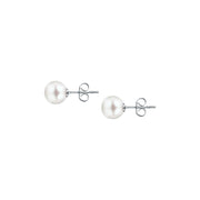 Woman B-Classic Gold Pearls 18K Earrings