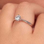 Woman Promessa Damore Diamonds 18K Ring