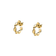 Woman Felicita Trendy Steel Earrings