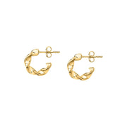 Woman Felicita Trendy Steel Earrings