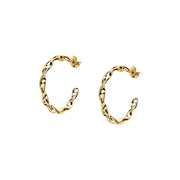 Woman Felicita Trendy Steel Earrings