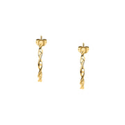 Woman Felicita Trendy Steel Earrings