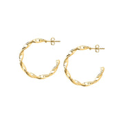 Woman Felicita Trendy Steel Earrings