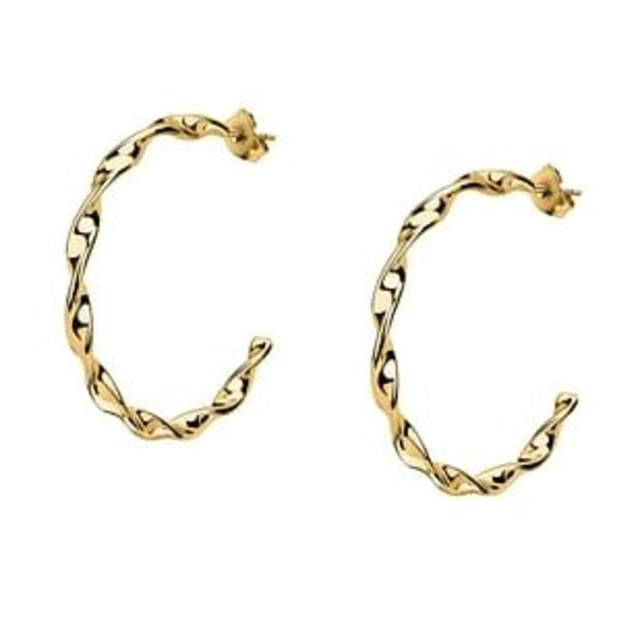 Woman Felicita Trendy Steel Earrings