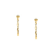 Woman Felicita Trendy Steel Earrings