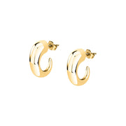 Woman Bold Trendy Steel Earrings