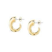 Woman Bold Trendy Steel Earrings