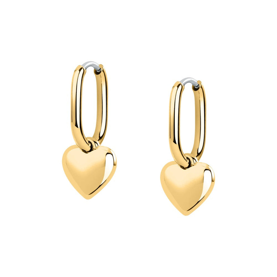 Woman Bold Trendy Steel Earrings