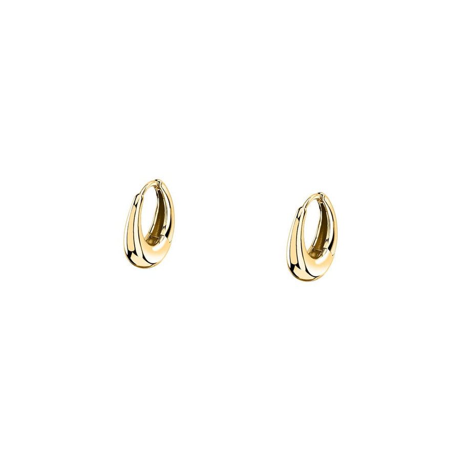 Woman Gold Bold Gold Anniversary 9K Earrings