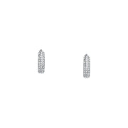 Woman Oxyde Gold Anniversary 9K Earrings