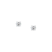 Woman B-Classic Silver 925 Earrings