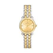D'Amante Audacious Women's Watch – Gold Dial, 28×34 mm