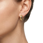 Woman Bold Trendy Steel Earrings