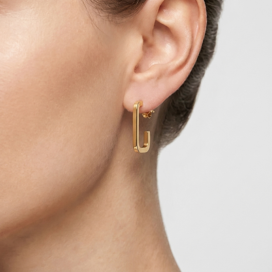 Woman Felicita Trendy Steel Earrings